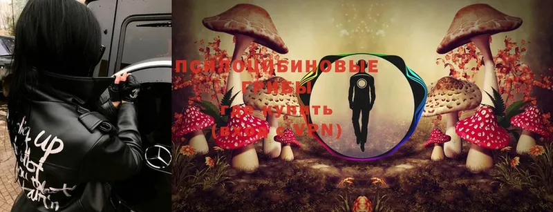 hydra рабочий сайт  Барыш  Галлюциногенные грибы Psilocybine cubensis 